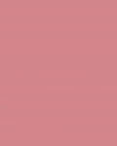 Mr Muscle Mold and Mildew Stain Remover Spray 500mL Bathroom Tile Grout Cleaner Anti Mold