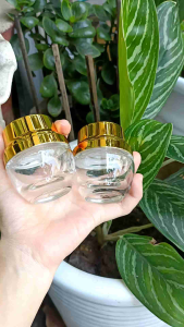 Hủ đựng kem thủy tinh nắp xi vàng cao cấp 20gr - 30gr -50gr