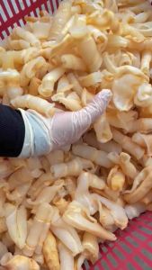 250头红鱼肚 | Medium Size Hong Yu Dried Fish Maw