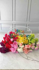 [CARNATION X7] BUNGA PALSU ANYELIR ARTIFICIAL FLOWER CARNATION BUNGA HIAS DIY FLORIST HAND BOUQUET PEMANIS BUKET BUNGA VAS