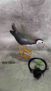 Perangkap Jebakan Burung Ruak Ruak Kareo Padi