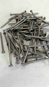 Paku Kayu Berkualitas Tinggi: Harga & Penggunaan