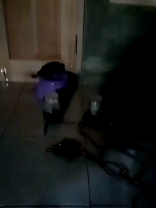 lampu rotary 1x flash blitz pesawat 12volt 24volt