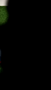 Bendera Umbul Umbul Garuda Hijau Panjang 27 Meter Lebar 40 cm