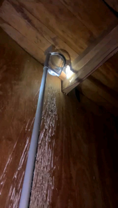 Kape Panen Sarang Walet Plus Cermin Intip Plus Keranjang Stainless