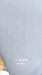 Dilan Chocolate Crunchy Caramel wafer Stick 5 in 1 Isi 12Pcs