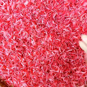 Kecombrang Vacum 250 Gram Merah Pink Bumbu Masak