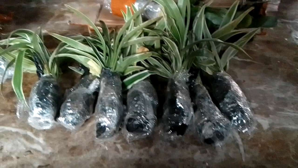 Buyer review video 3