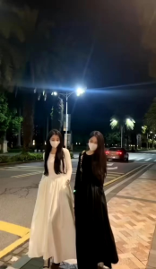 Đầm Dài Tay Thiết Kế Cổ Tròn – Thanh Lịch Chuẩn Gu Quý Cô 🌸