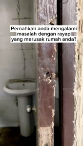 Racun Pembasmi Rayap ATASI Bubuk Anti Rayap
