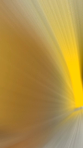 Mengenal Bushing Arm Mio Sporty M3 J Smile Boshing Engine Mounting Nmax Old New Aerox Xeon Lexi Bahan Karet Polyurethana