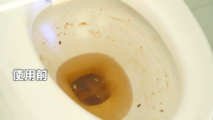 Toilet Bowl Foaming Cleanser - SG Ready Stock | Great Toilet Helping Agent! | Toilet Hygiene | Toilet Cleanser