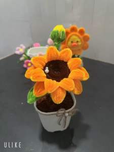 chậu hướng dương mini kẽm nhung lúc lắc