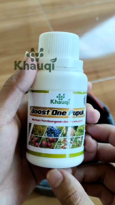 PUPUK BOOST ONE 100ml Mempercepat Hormon Pembuahan dan Pembungaan Semua Tanaman