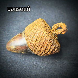 นอแรo หลวงพ่อปาน (พร้อมเชือกถักโบราณ) ของโบราณ ของสะสม Thai amulets