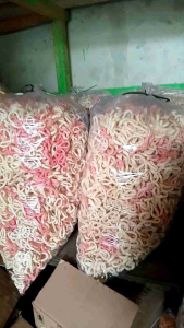 [5 KG] PAKET USAHA Kelanting Getuk Lanting singkong asli Khas Lampung