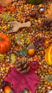 (พร้อมส่ง🇹🇭)Autumn - Fall Sensory Play พร็อพธีมฤดูใบไม้ร่วง -Sensory Play by KT