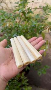 Cangklong pipa once terbuat dari moncong ikan marlin dikenal dengan rasanya yang gurih khas