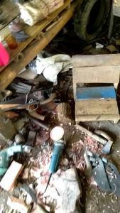 arit rumput asgar baja per asli
