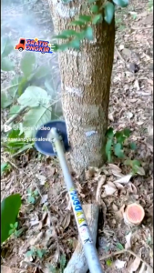 DIJUAL PISAU BULAT MODEL CHAINSAW