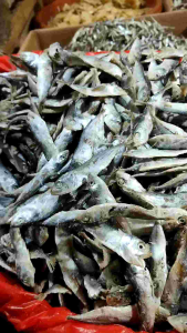 IKAN ASIN BABY KEMBUNG REBUS 1 KG