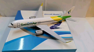 Salam  Airbus 320 Diecast Metal Airplane Model with Stand for Display Collection Souvenirs 6 Inches