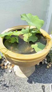 ชุดปั้มอ็อกซิเจนโซล่าเซลล์ 1วัตต์ ครบชุด พร้อมใช้งาน