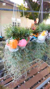 ((เคราฤาษีแต่งตุ๊กตาเซรามิค-กระถางดินเผา))