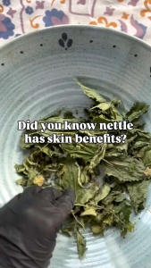 Dried Stinging Nettle Leaves Tea