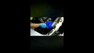 Air Radiator Premium 5 Liter: Coolant Mobil Berkualitas