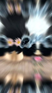 Jepit Rambut Mawar Denim Blue & Kep Rambut Konde Sirkam