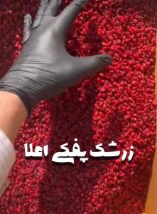 Premium Barberry – Natural Support for Blood Sugar & Cholesterol (Diabetic-Friendly) | Beri Barberry Premium – Sokongan Semula Jadi untuk Kawalan Gula & Kolesterol (Mesra Diabetes) | زَرْشَك فاخر – دعم طبيعي لتنظيم سكر الدم والكوليسترول (مناسب لمرضى السكر