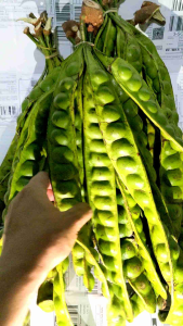 Jengkol Tua 1kg Rasa Pulen & Legit