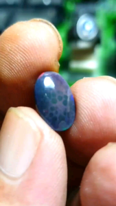 Kalimaya Black Opal: Full Jarong Atas Bawah