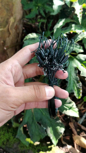JERAT PANCINGAN BURUNG PUYUH HUTAN TIKUSAN SINTAR PANJANG 2 METER 21 LOBANG
