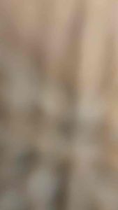 MARIONE - ZEYA Tas Wanita SlingBag Tas Selempang Kekinian Tas Selempang Buat HP dan Uang Tas Selempang Wanita Tas HP Wanita Terbaru Tas HP Kecil Selempang Tas HP Mini