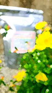 Rong Biển Xoắn Đà Nẵng ăn liền 200g