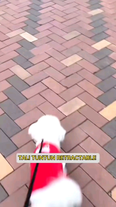 RETRACABLE LEASH 3 METER - TALI TUNTUN HEWAN 3 METER KUCING & ANJING