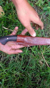 PISAU DAGING FILLET IKAN AYAM dan kupas buah duren