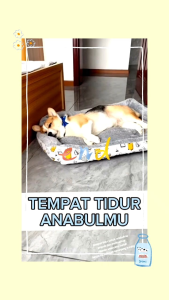 Kasur Kucing & Anjing Besar: Warm Bed & Bantal Kucing