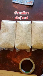 ข้าวเหนียว ใหม่ เก็บเกี่ยว พิเศษ 65 กิโลลา ชาวนาขายเอง หอมอร่อยแข็ง สีสดใหม่ ไม่มีกลิ่นสาป แพ็คสูญญากาศ 20บาท นุ่มทานอร่อย ใครได้ลิ้มรองแล้วจะติดใจ