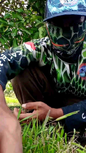 Soft Frog RASTA MELAS LURE Umpan Casting Gabus