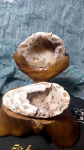 Agate treasure bowl natural raw skin