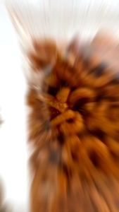 SNACK KILOAN MAKARONI BANTET PEDAS DAUN JERUK 250 GRAM | CEMILAN MURAH MAKASSAR