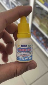 PROCIN 50A lọ 10ml uống cho gà tiêu chảy CRD CCRD viêm phổi hen khẹc khò khè viêm ruột.