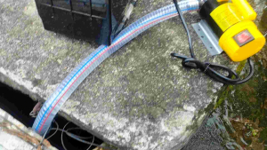 máy bơm dầu cánh gạt 12v 300w inox bơm được cả nước và dung dịch đặc sệt