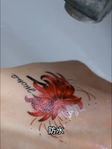 Set 30 Tờ Hình Xăm Không Trùng Nhau Hoạ Tiết Dễ Thương ( Giao Mẫu Ngẫu Nhiên)