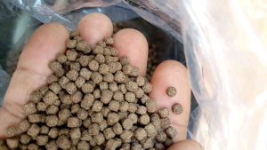 Pakan Ikan Terapung Kemasan 500 Gram: Pilihan Terbaik Untuk Akuatik & Aquarium