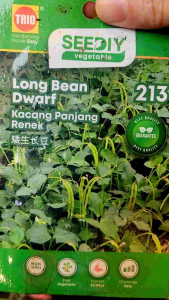 TRIO SEEDIY Long Bean Dwarf 矮生长豆 Kacang Panjang Renek 213 veggie seeds