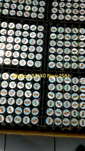 Lifepo4 15Ah Gotion 33140